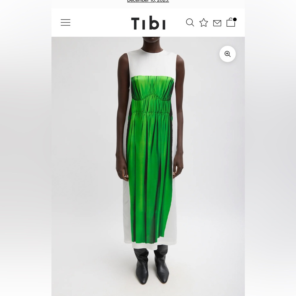 Tibi Trompe L’Oeil Dress Size 4 BNWT